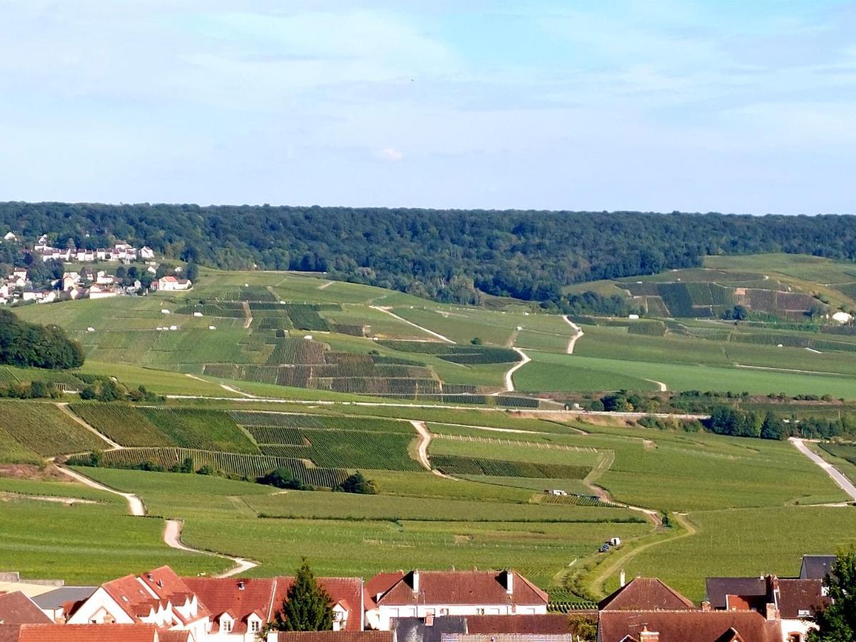Appartement Épernay capital de Champagne Extérieur photo